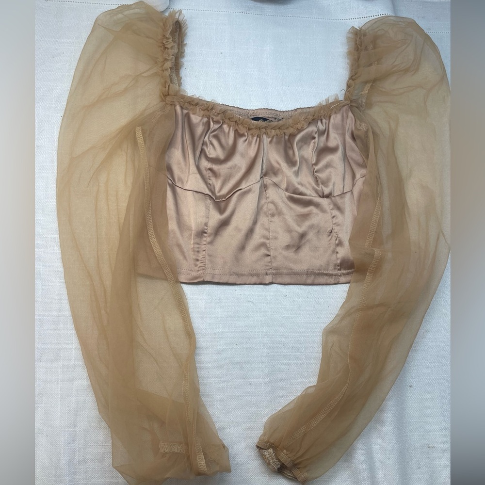 Sheer Tan Crop Top with Long Sleeves